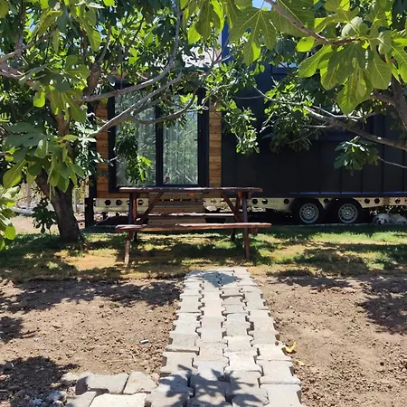 Kemp Zeytiny House