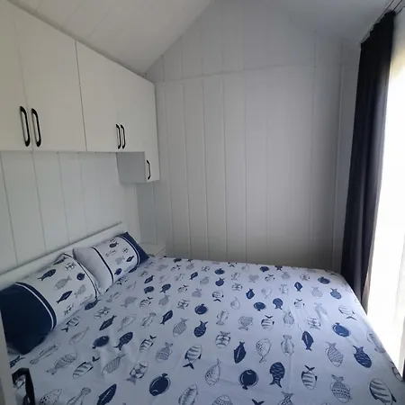 Campeggio Zeytiny House *