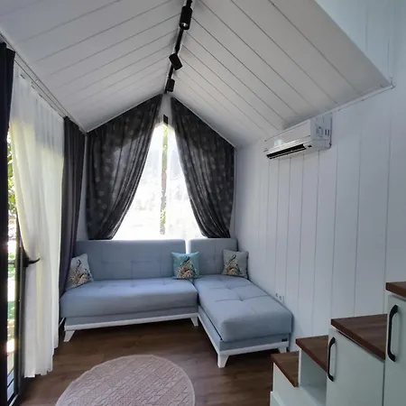 Zeytiny House Dikili