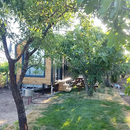 Zeytiny House 캠프장 디킬리