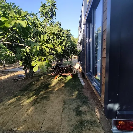 캠프장 Zeytiny House