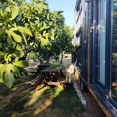 Zeytiny House * 디킬리