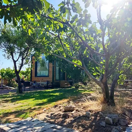Campeggio Zeytiny House Dikili