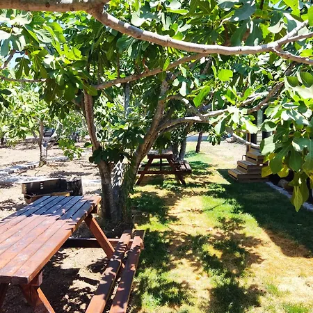 Campeggio Zeytiny House Dikili