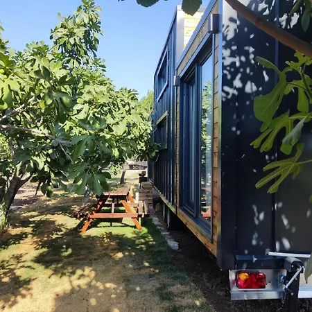 Campeggio Zeytiny House *